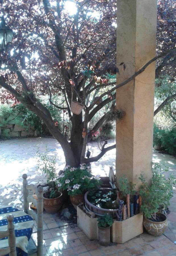 Atelier Pasquer Bed & Breakfast Fitou Екстериор снимка